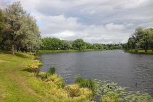 Суд признал незаконным разрешение на строительство спортивного комплекса «Нова Арена» в Муринском парке