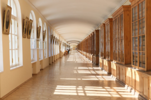 Выпускники СПбГУ выступили против переезда университета в Пушкин. Среди причин недовольства — удаленность от центра и разрыв с исторически значимым местом