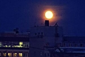 В Петербурге прямо сейчас «волчья луна». Вой не ждите, но полюбуйтесь на полнолуние 🐺