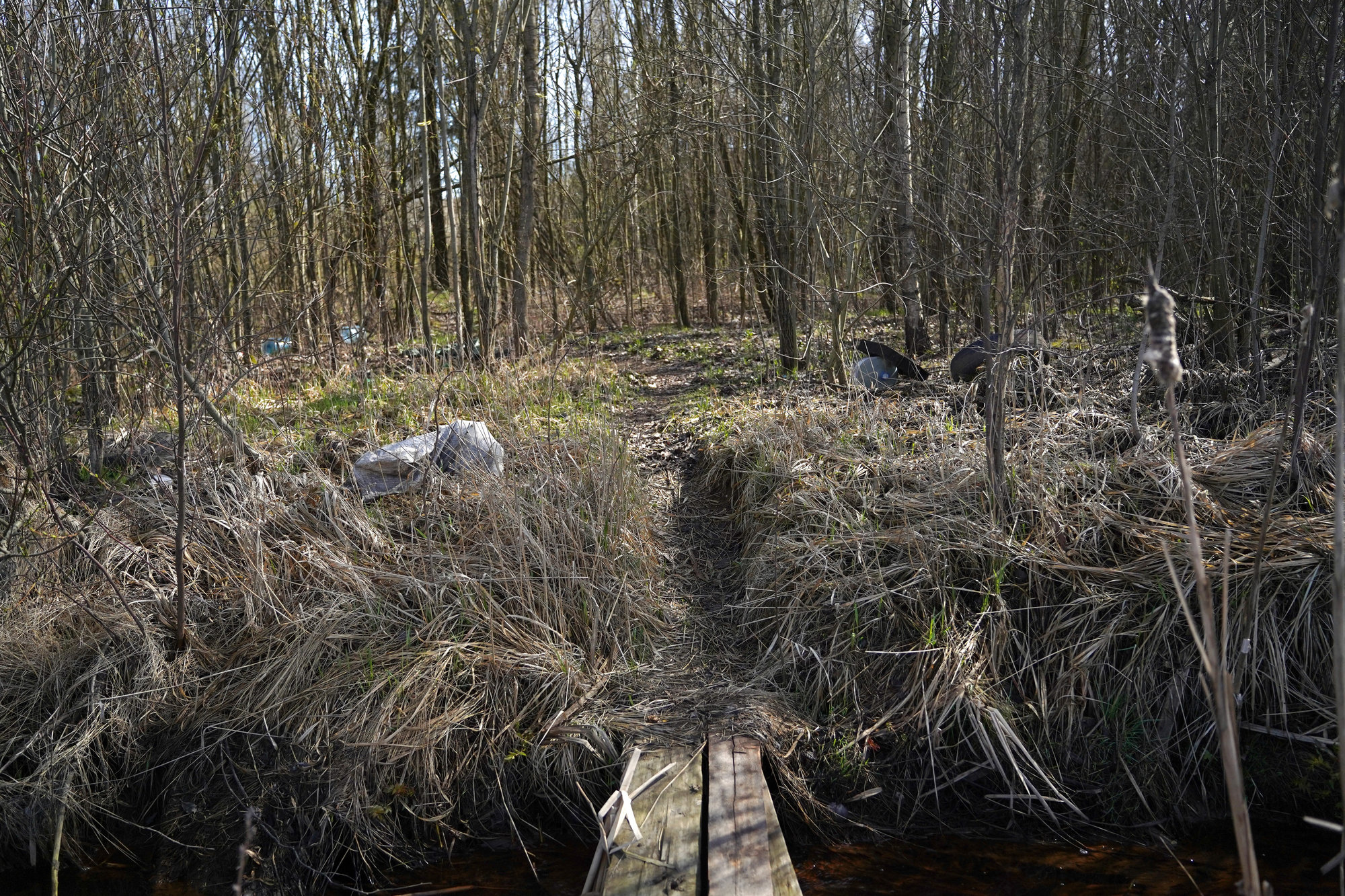 У свалки течет ручей. Его вода — коричневая, медного оттенка. Фото: «Бумага»