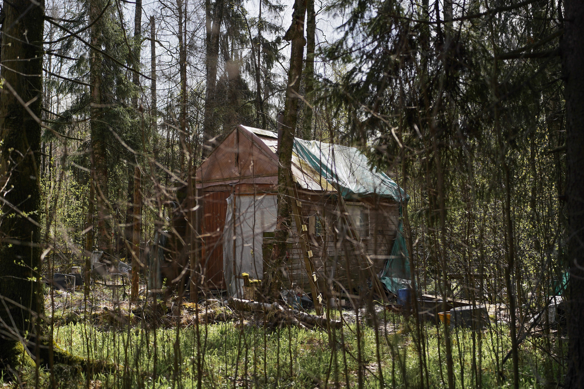 Некоторые домики в поселении пустуют. Фото: «Бумага»