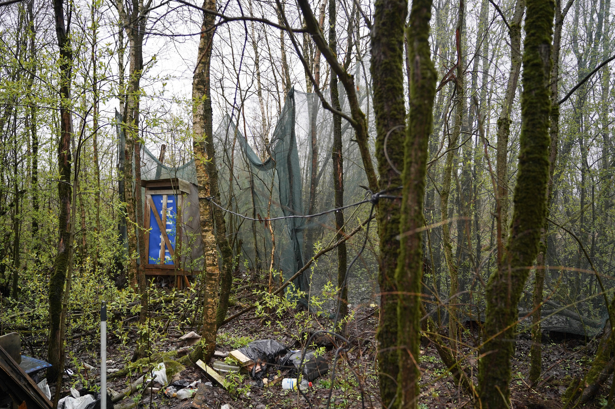 Второе скопление домиков тоже спряталось в лесополосе, но на юго-востоке свалки. Фото: «Бумага»