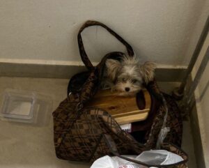 «До сих пор ест украдкой». Как соседи помогли бездомному молодому человеку и спасли его собаку