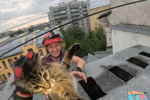 Это «Кошкиспас» — недавно они спасли того самого кота на Фонтанке. Вот как волонтеры работают в Петербурге — уже 16 лет