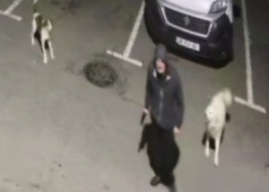 Вооруженный мужчина у собачьего приюта Тамаза Элизбарашвили