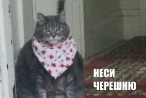Бывает ли вред от больших порций сезонных фруктов и ягод: отвечает гастроэнтеролог в Тбилиси